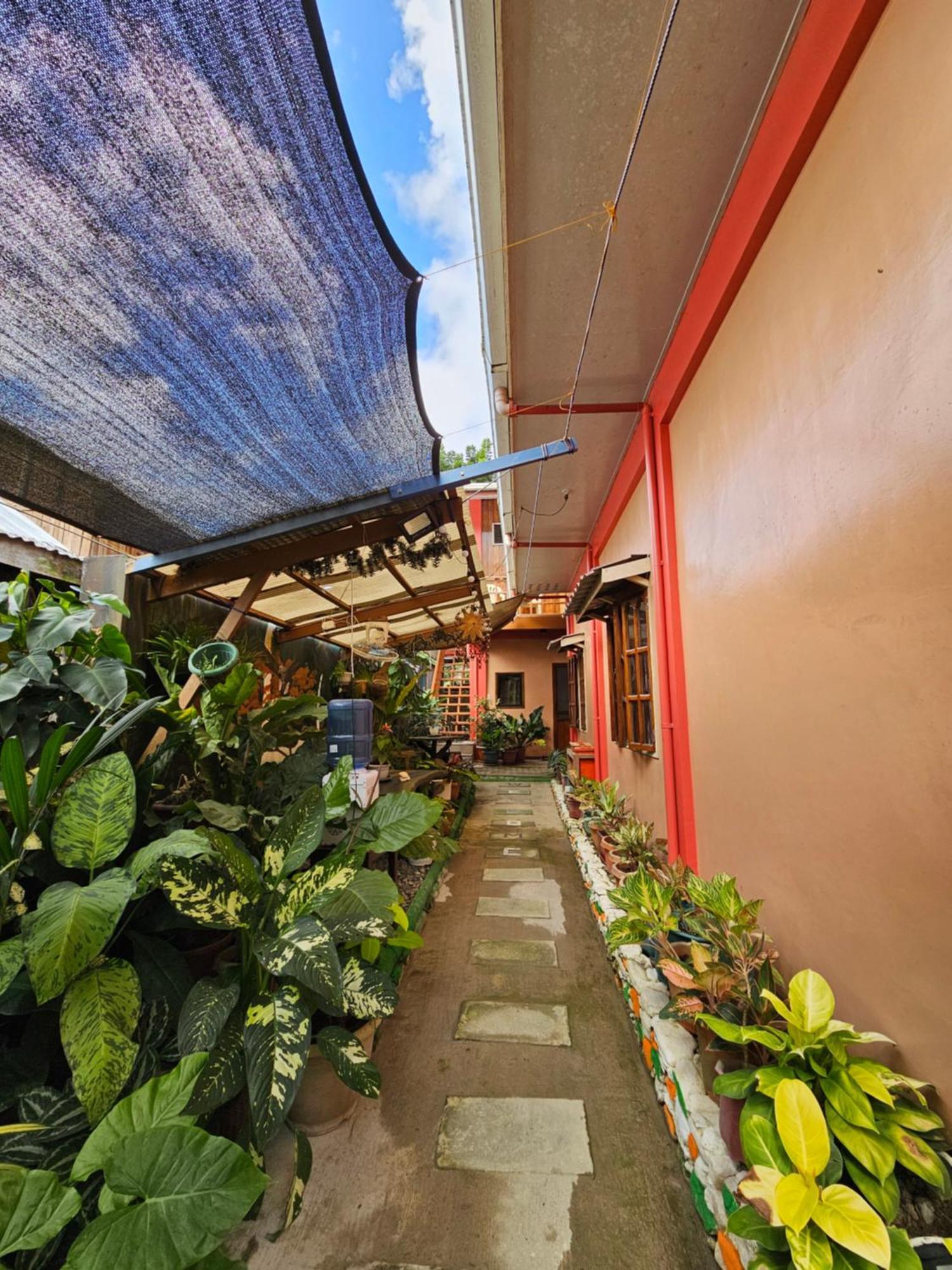 Ferranco Tourist Inn San Vicente  Εξωτερικό φωτογραφία